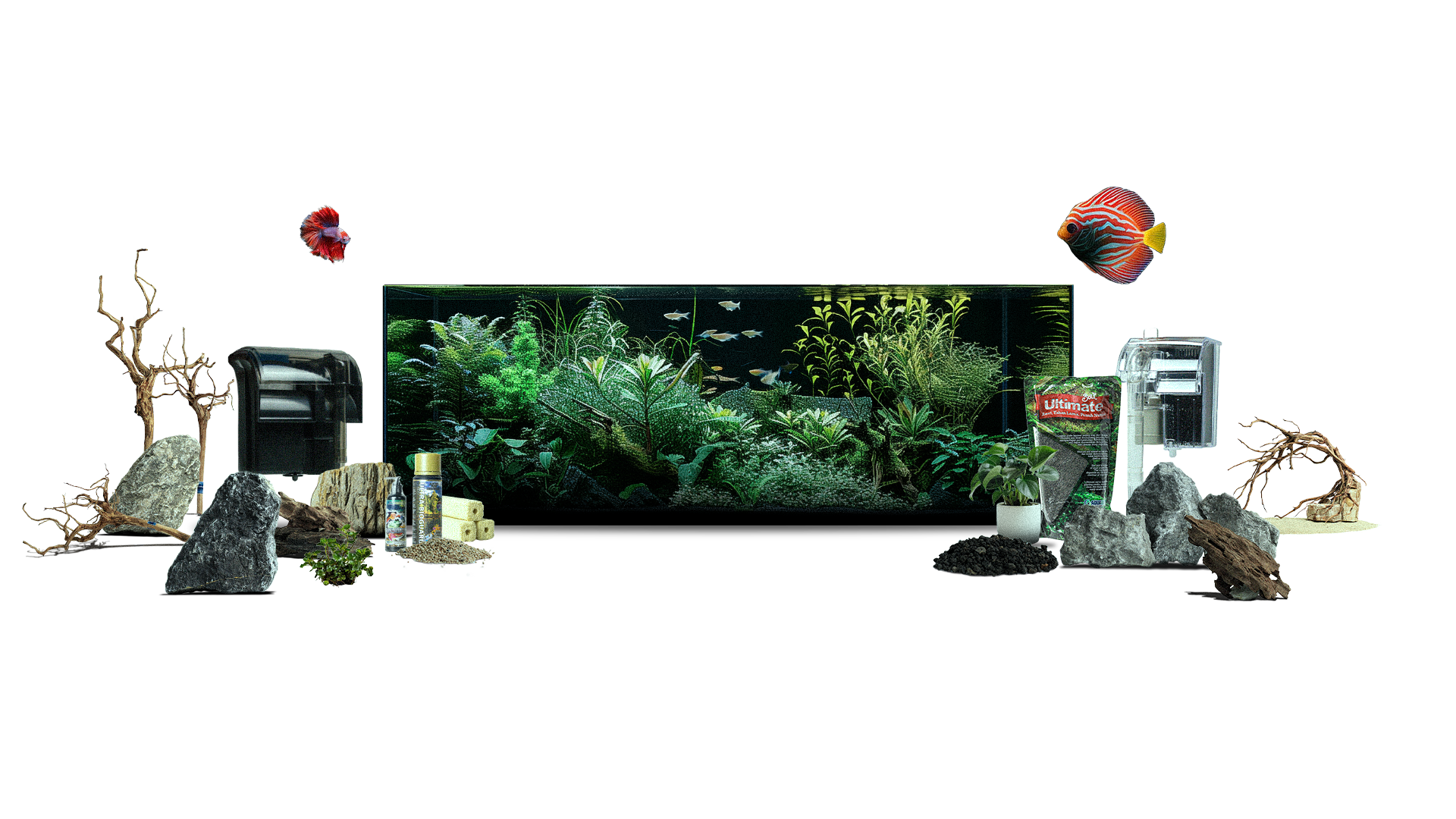 Complete Aquascape Setup