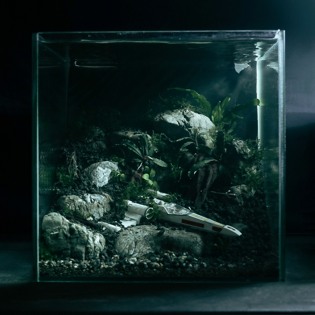 aquascape