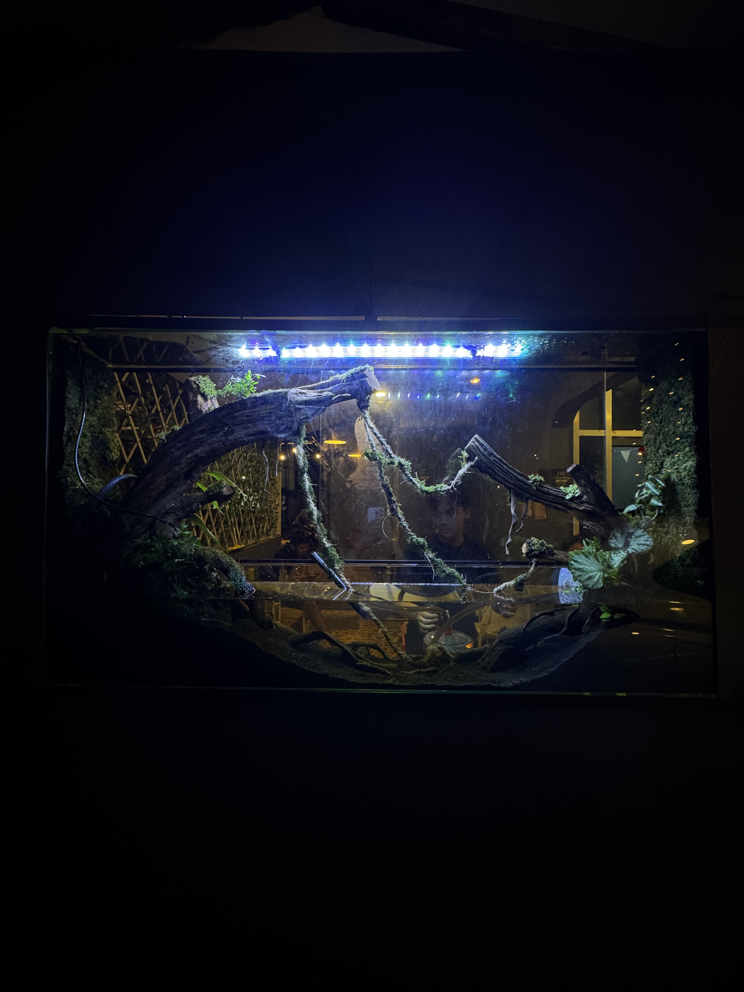 aquascape