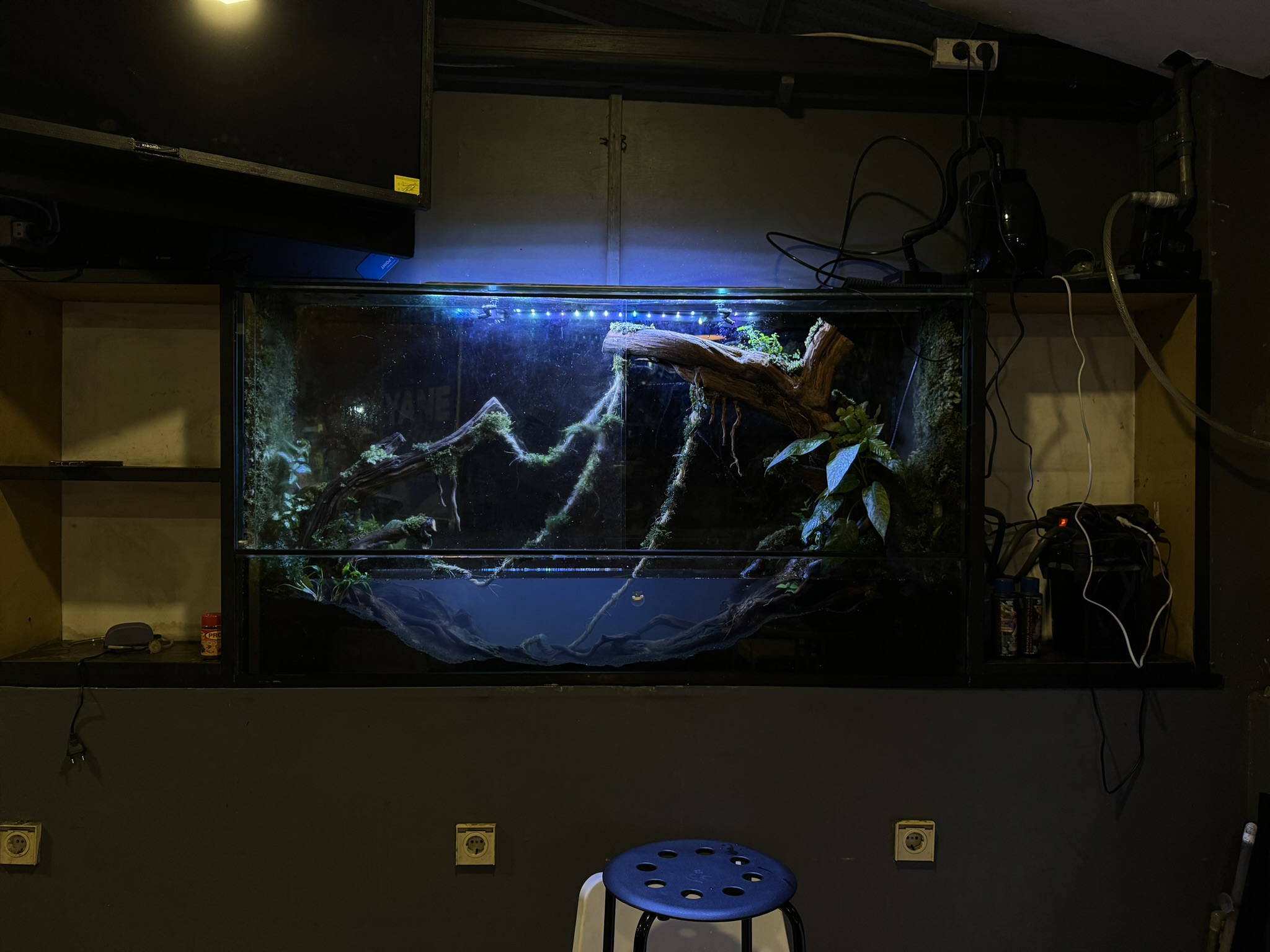 aquascape