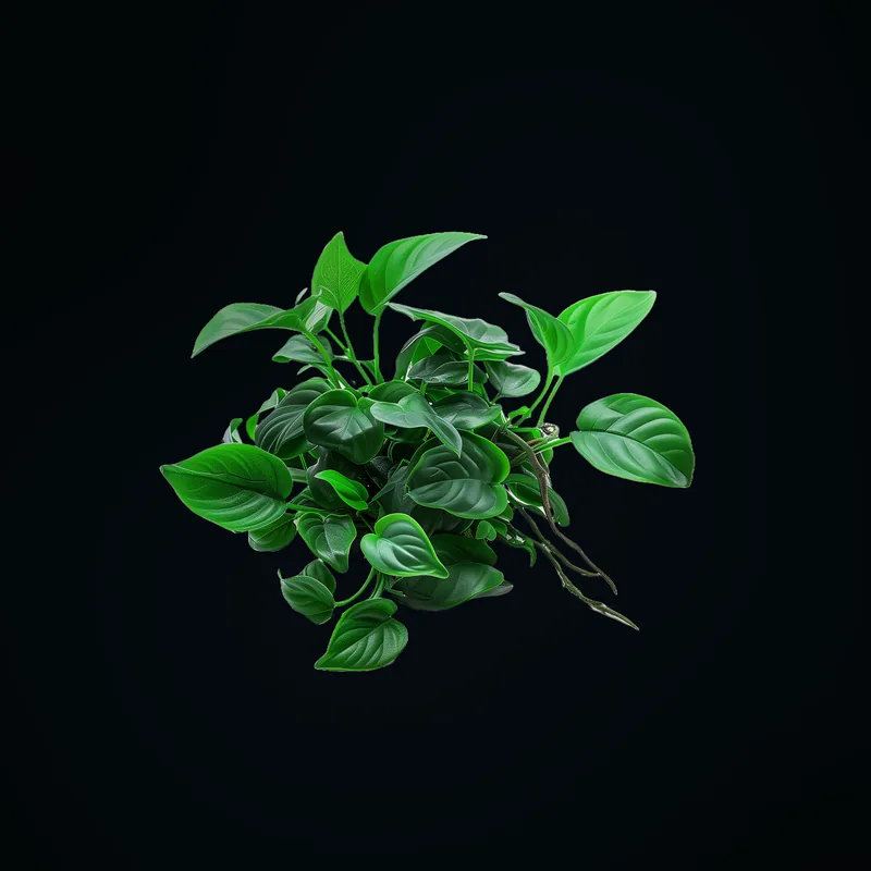 Tanaman Aquascape